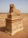 ram statue, Amun Temple, Naga, Sudan 73