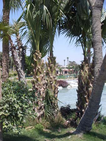 SDC17372