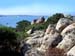 Caprere Island, Sardinia 315
