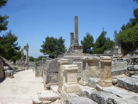 SDC10260