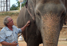 Me. Petting the elephant. Mysore, India